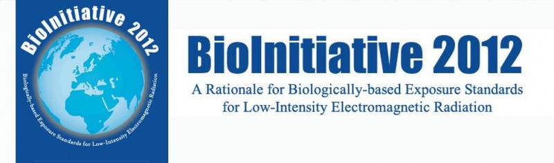 Logo Bioinitiative 2012