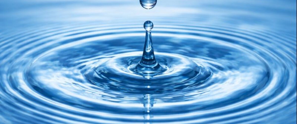 „Wasser als Lebensmedium im menschlichen Organismus“