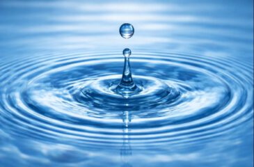 „Wasser als Lebensmedium im menschlichen Organismus“